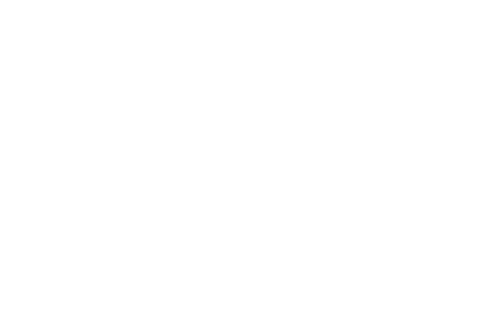 fantom foundation